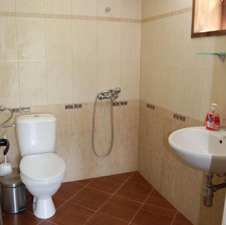 Photo of Bathroom in Balkanets