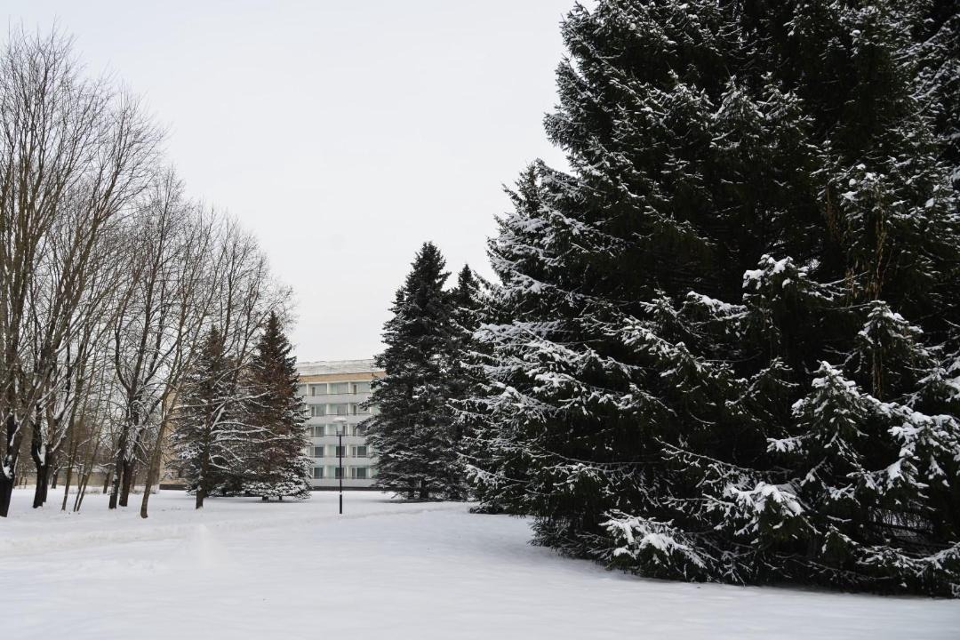 Photo of Buildings in Povedniki