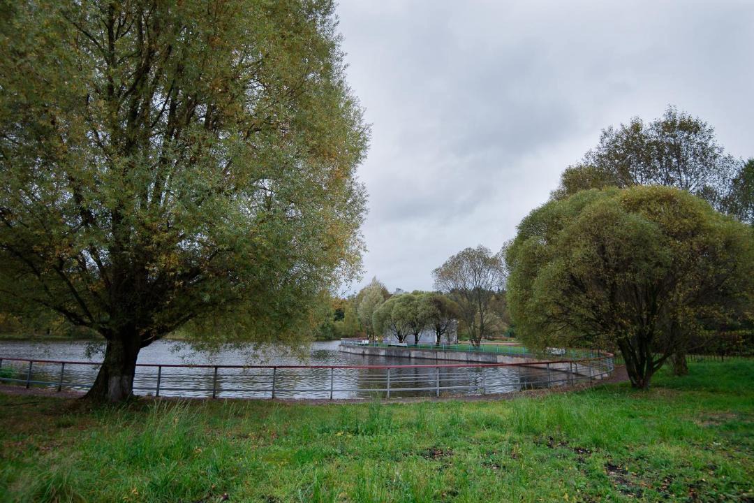 Photo of Others in Povedniki