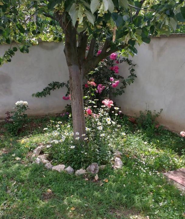 Photo of Outdoor in Veliko Tarnovo