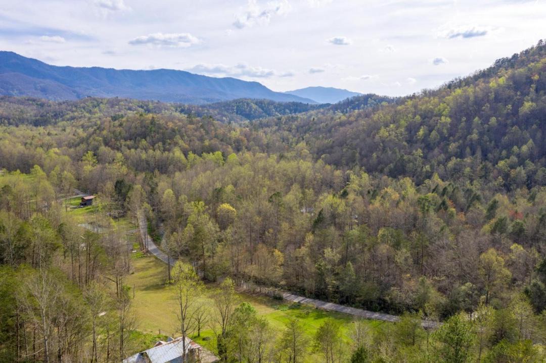 Photo of Outdoor in Cosby