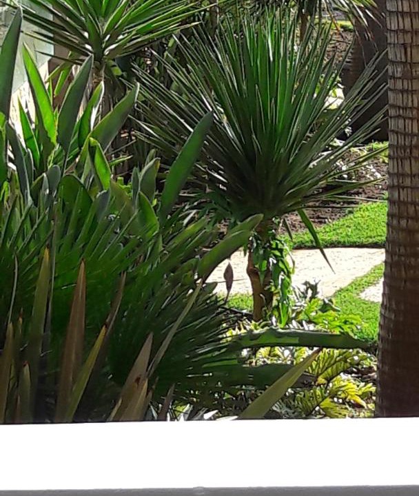 Photo of Others in Tamariss