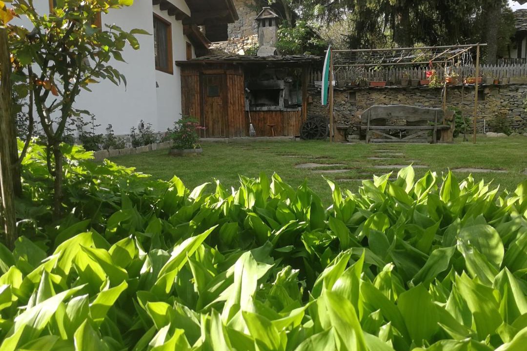Photo of Others in Kovacevica