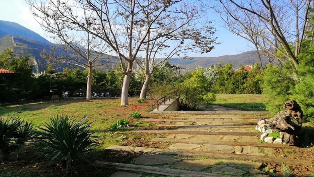 Photo of Others in Mezdra