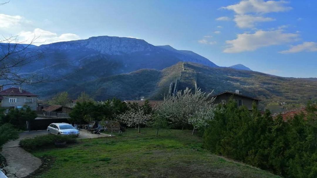 Photo of Others in Mezdra