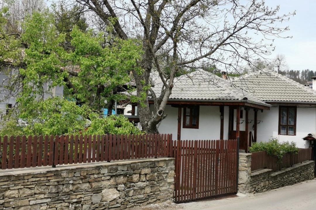 Photo of Others in Tryavna