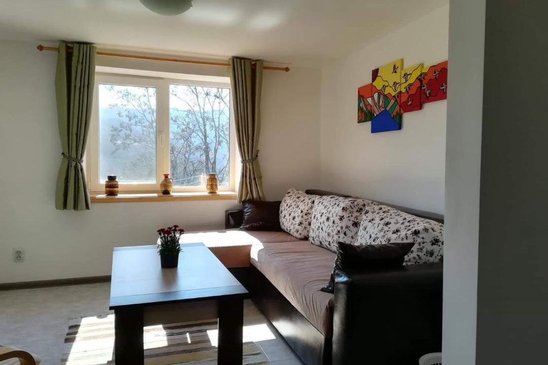 Photo of Livingroom in Smolyan