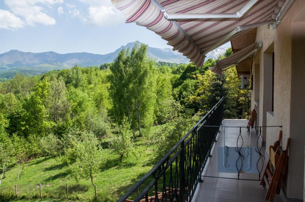 Photo of Patio Balcony in Apriltsi
