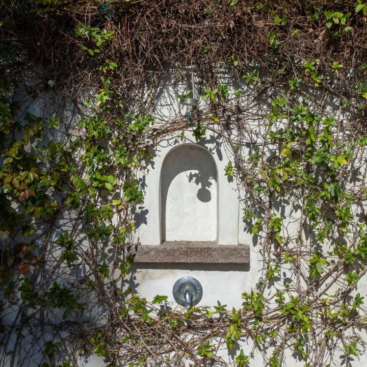 Photo of Others in Hollywood Hills West