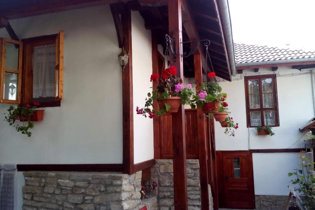 Photo of Others in Tryavna
