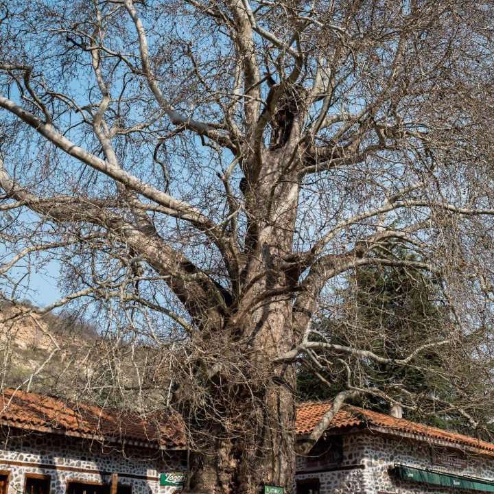 Photo of Buildings in Melnik