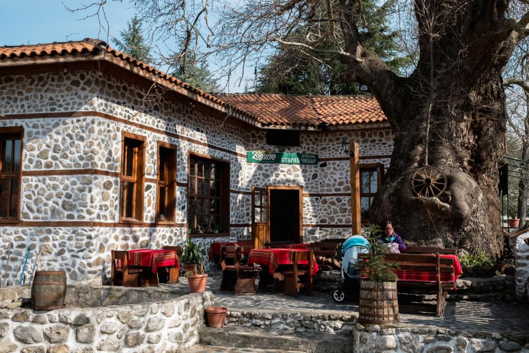 Photo of Buildings in Melnik