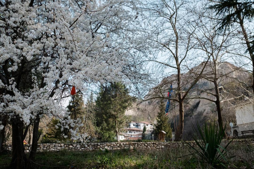 Photo of Others in Melnik