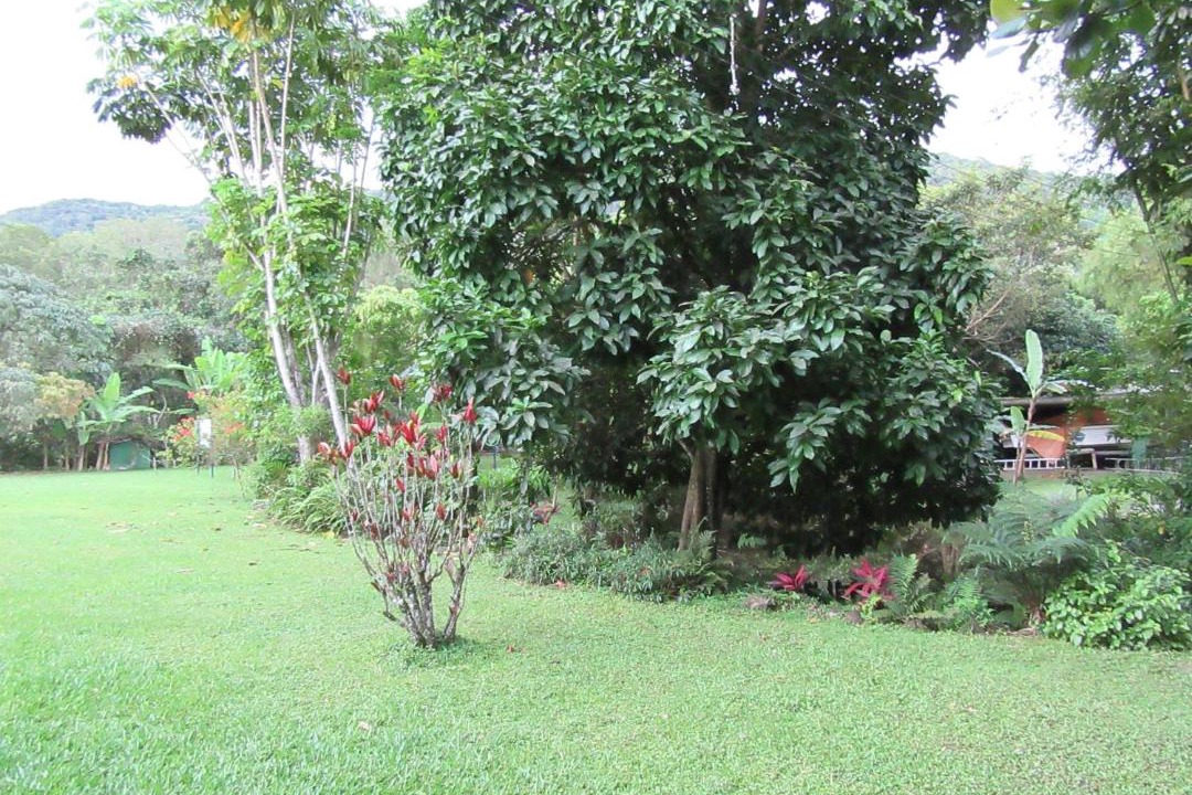 Photo of Others in Barra do Sahy