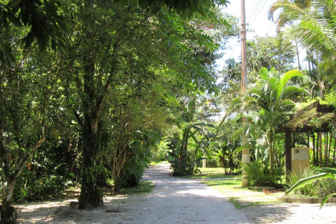 Photo of Others in Barra do Sahy