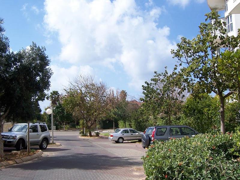 Photo of Others in Netanya