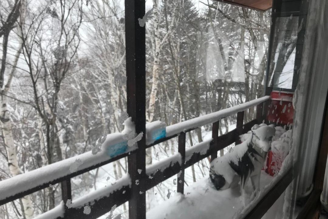 Photo of Patio Balcony in Yuzawa