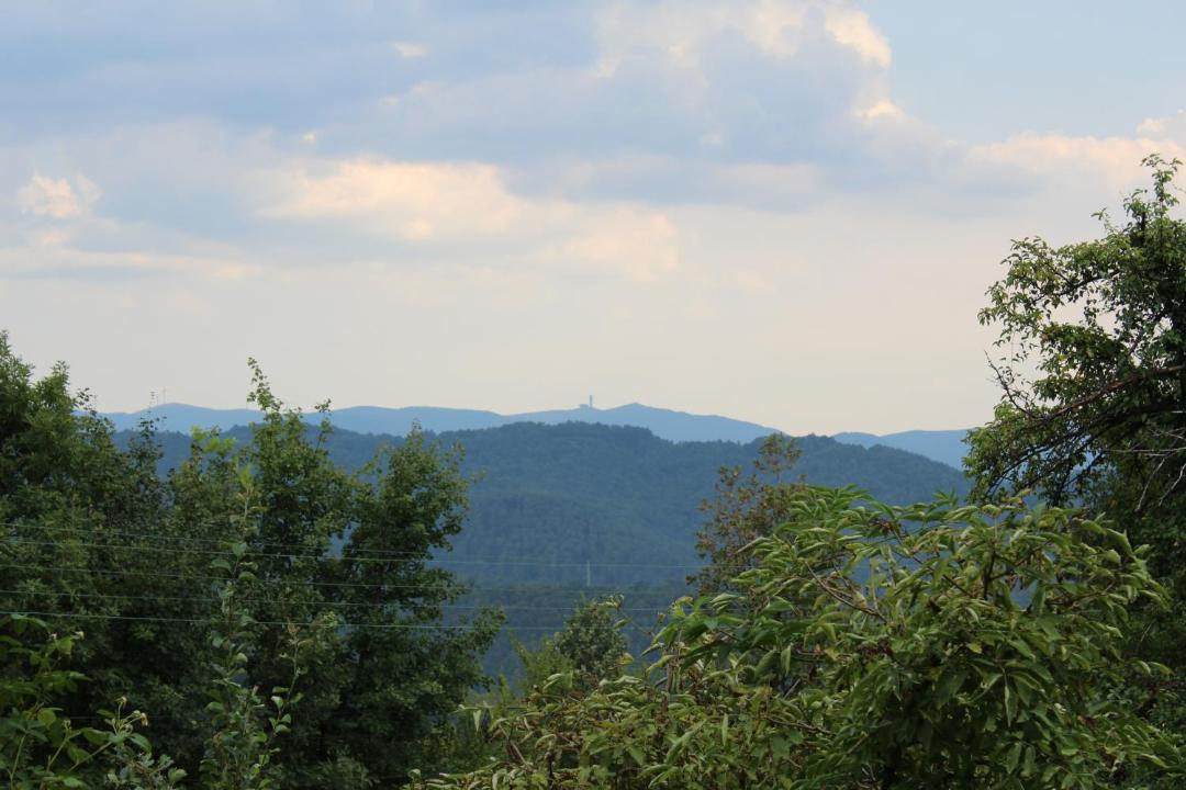 Photo of Others in Gabrovo