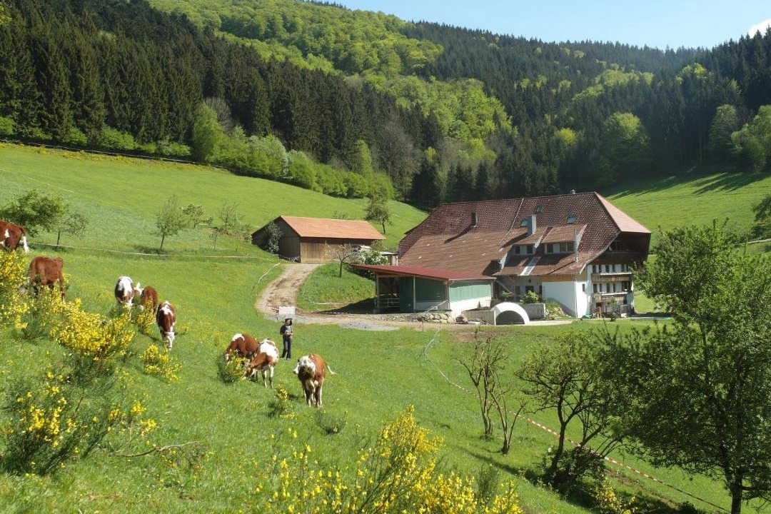 Photo of Others in Muehlenbach