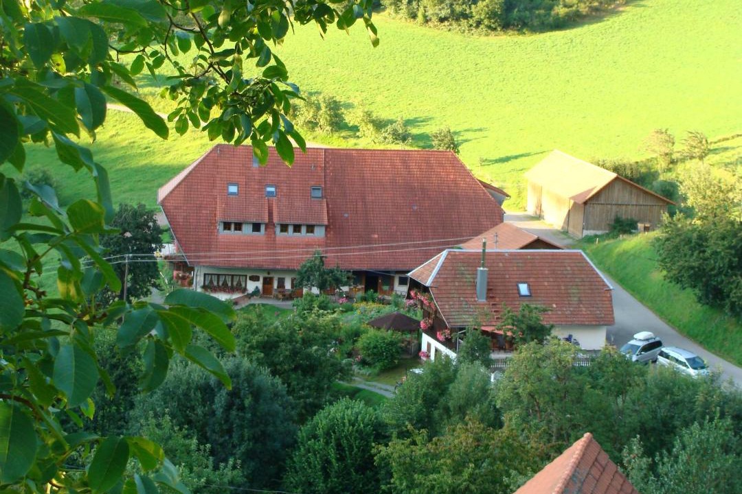 Photo of Others in Muehlenbach