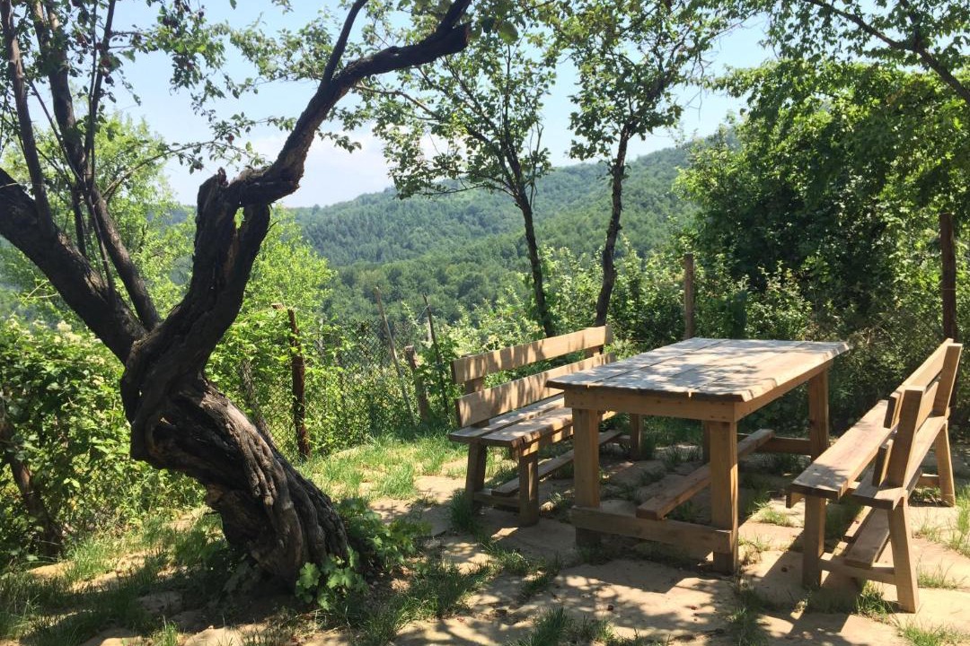 Photo of Others in Tryavna