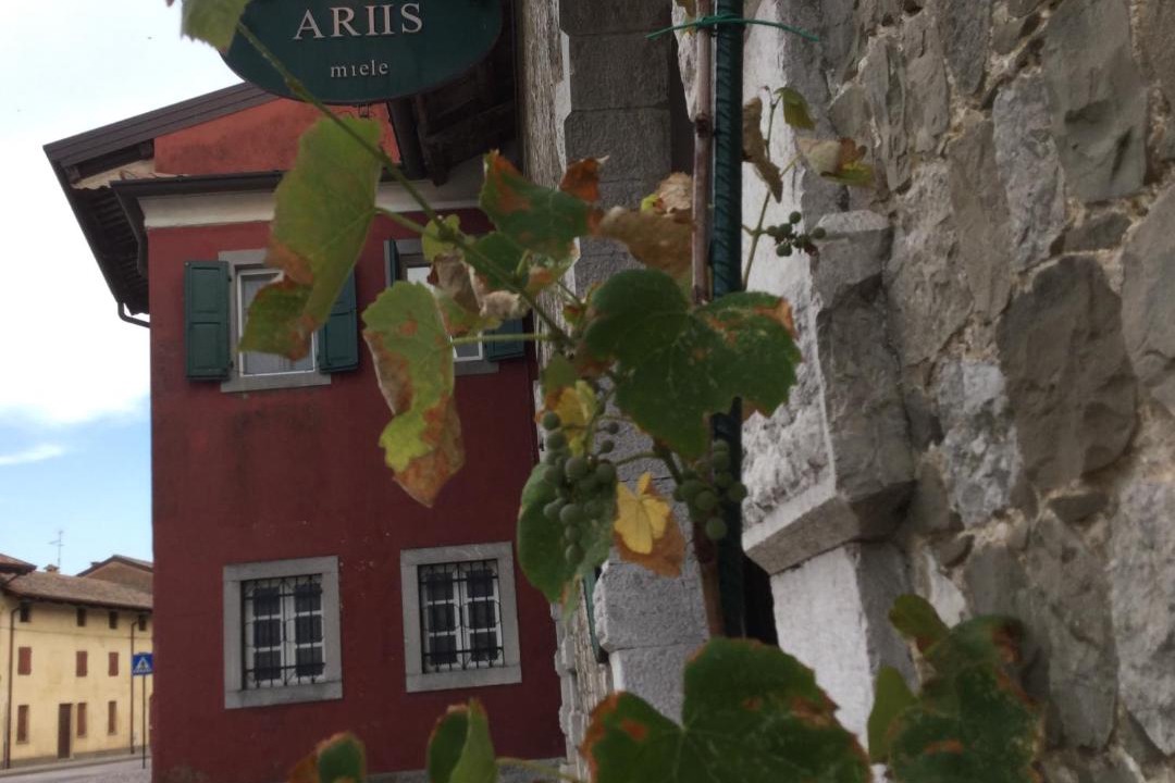 Photo of Buildings in Clauiano