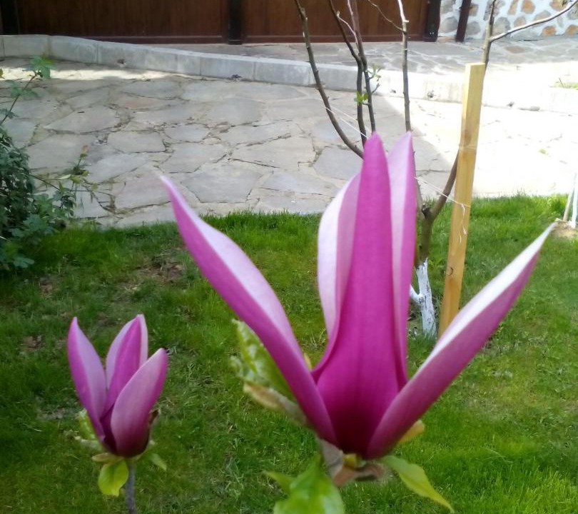 Photo of Outdoor in Melnik