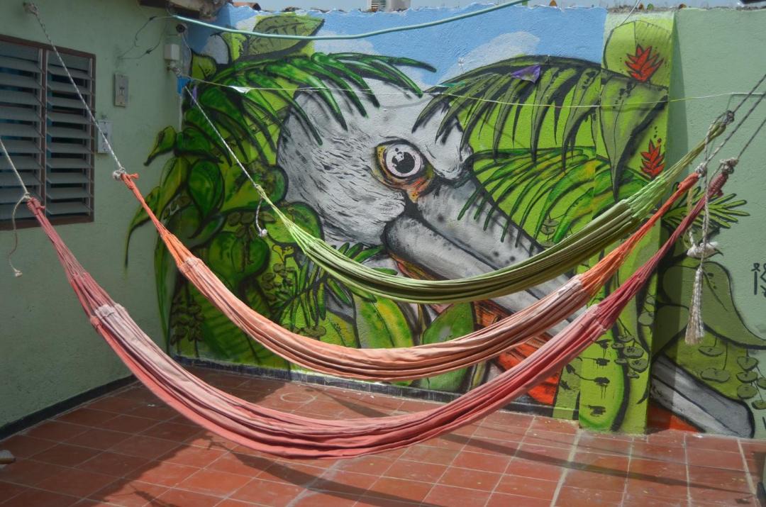 Photo of Others in Comuna 2