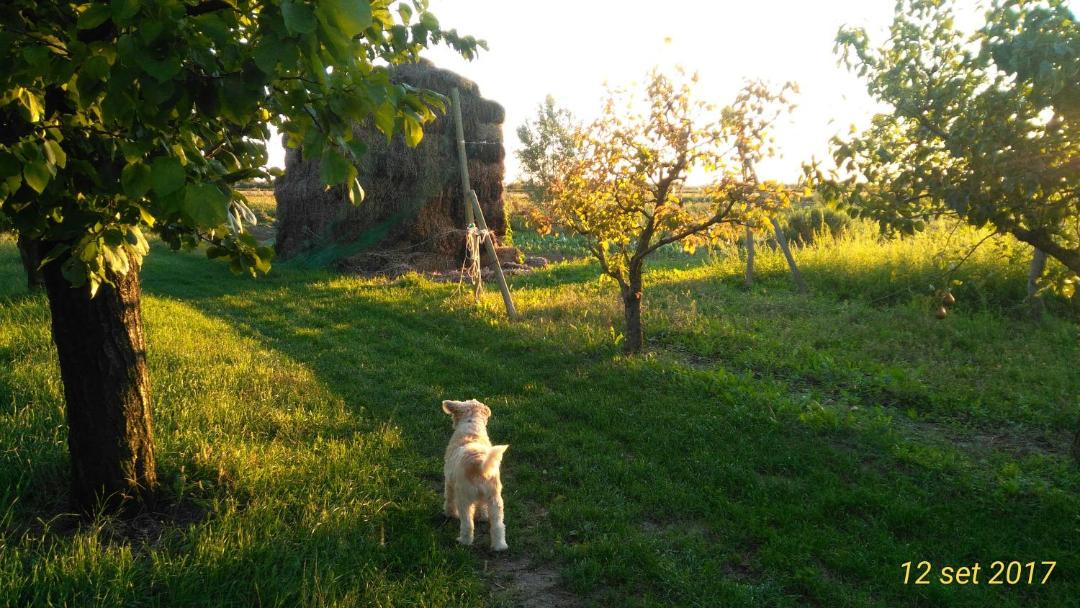 Photo of Others in Ca' Pirami