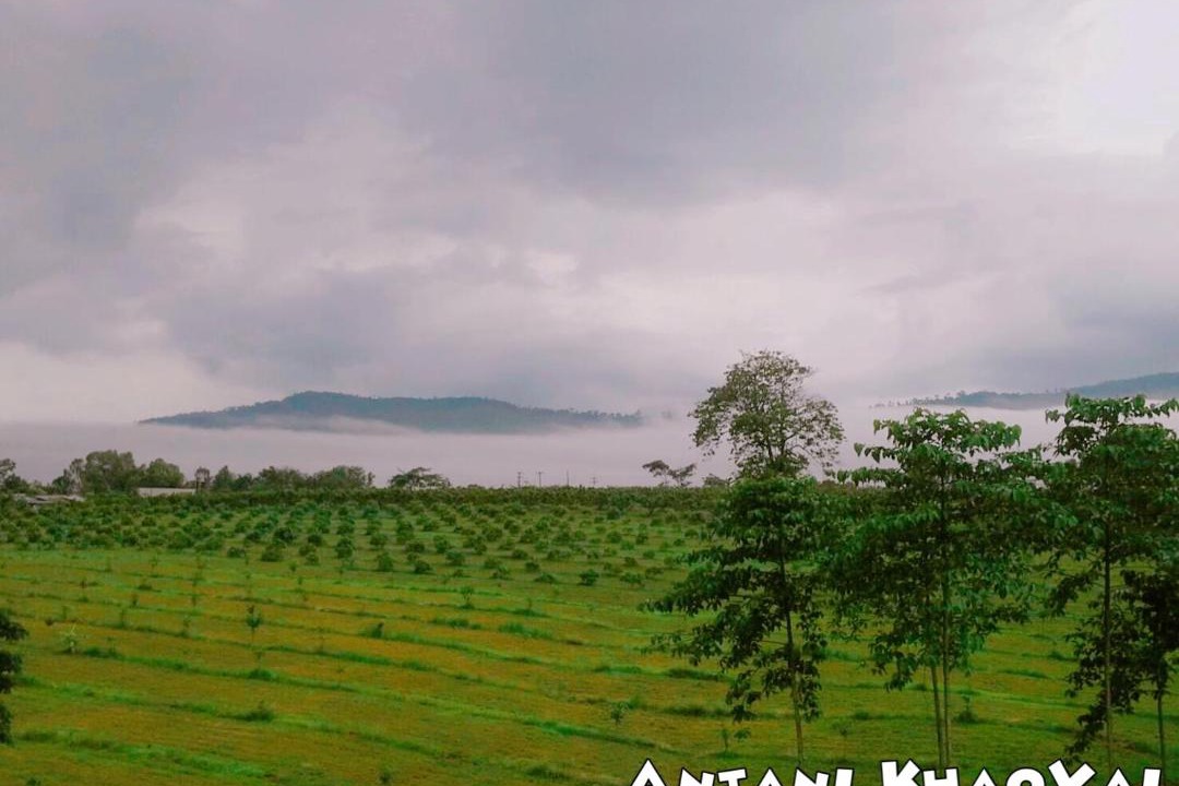 Photo of Others in Pong Ta Long