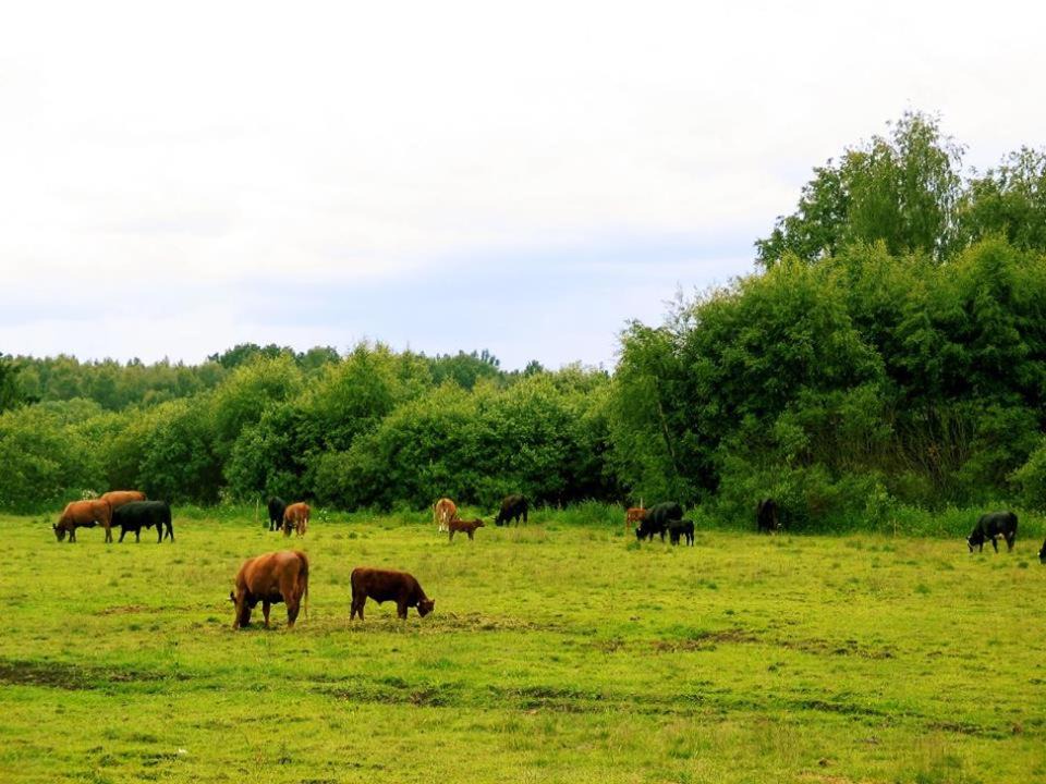 Photo of Others in Metsakansa