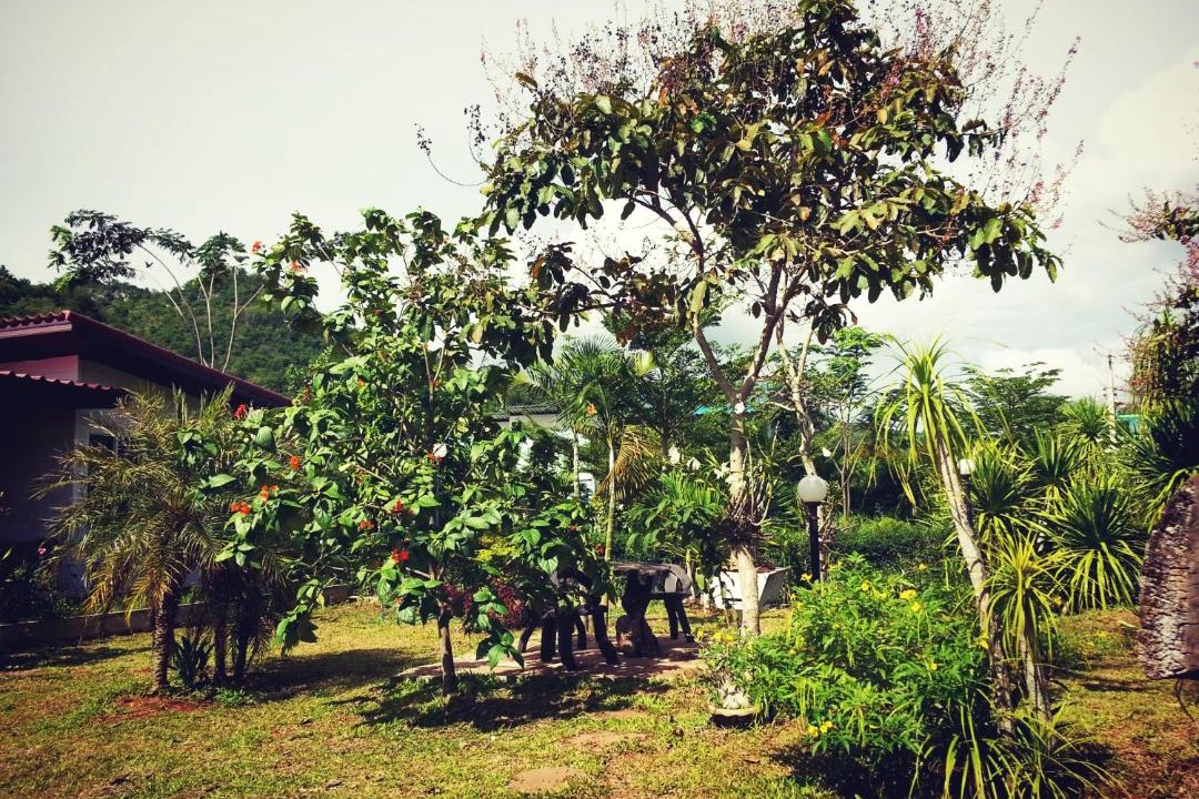 Photo of Others in Nong Nam Daeng