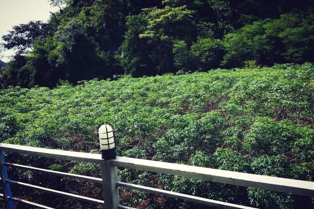 Photo of Outdoor in Nong Nam Daeng