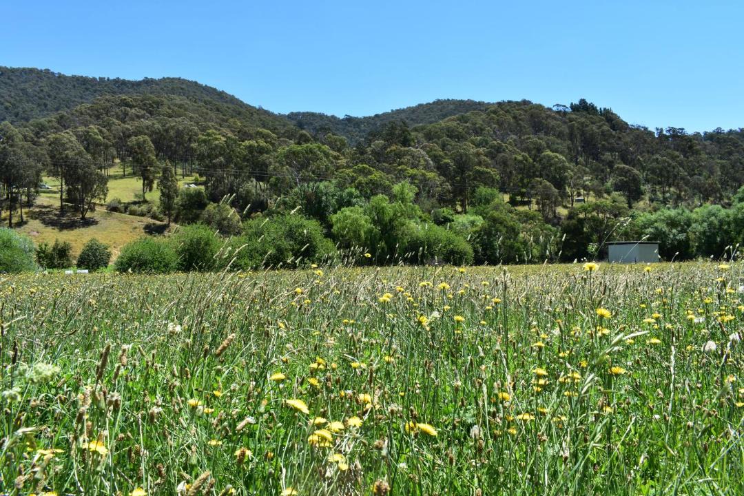 Photo of Others in Corryong