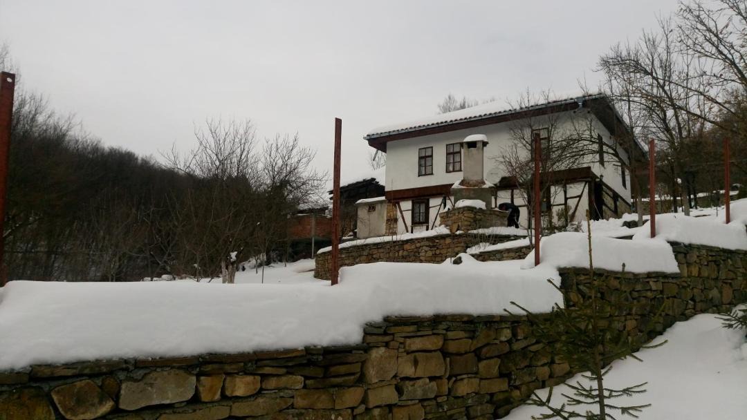 Photo of Others in Plachkovtsi