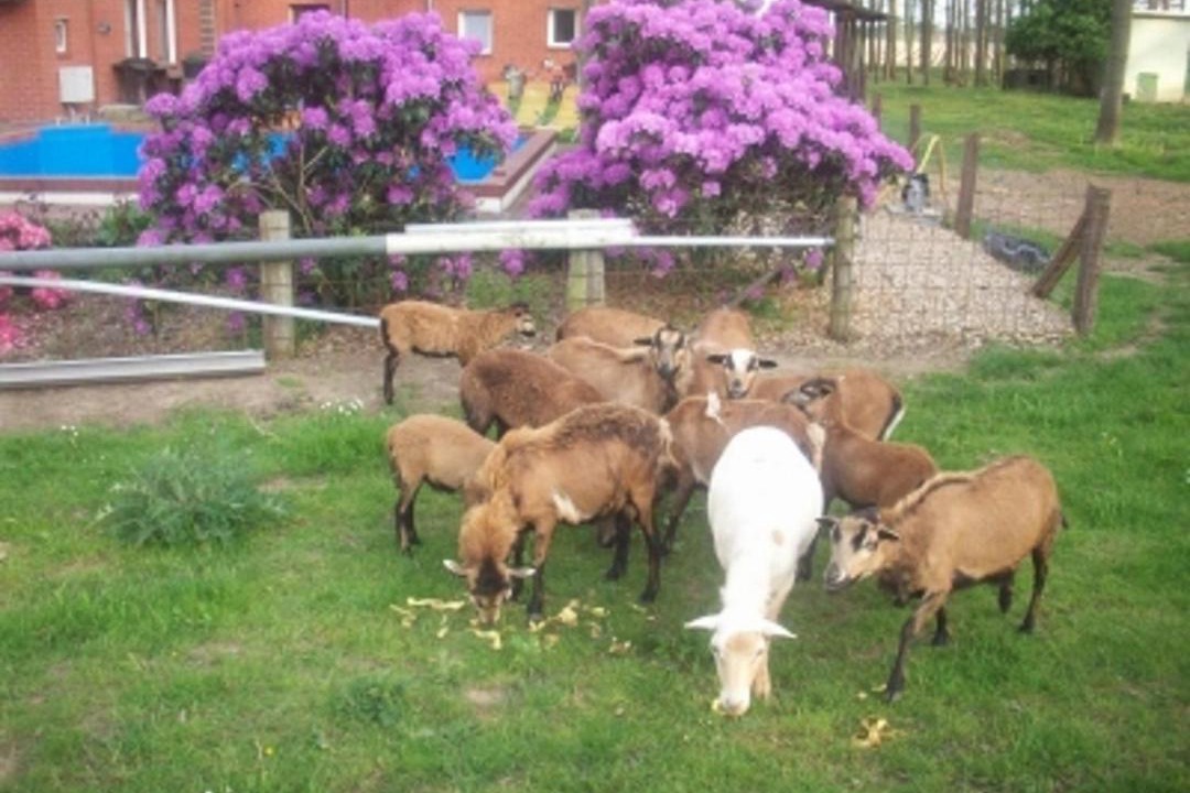 Photo of Outdoor in Frankenfeld