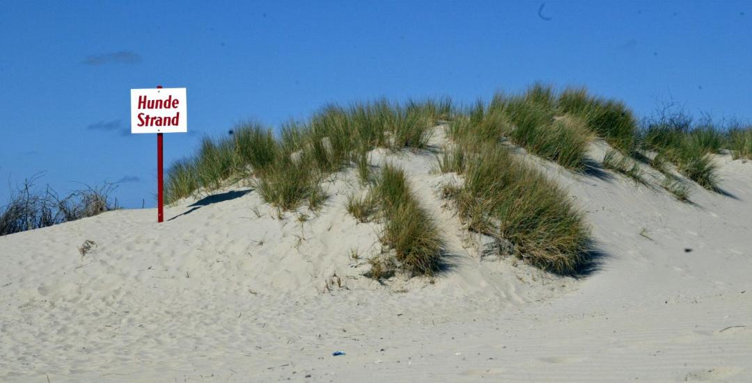 Photo of Others in Borkum