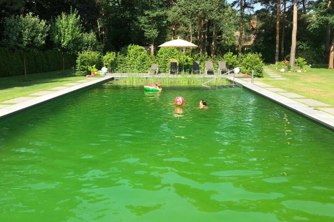 Photo of Others in Bad Saarow