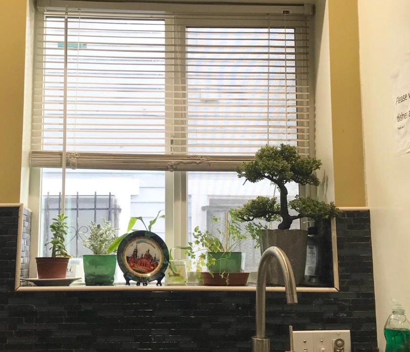 Photo of Kitchen in Pico-Union