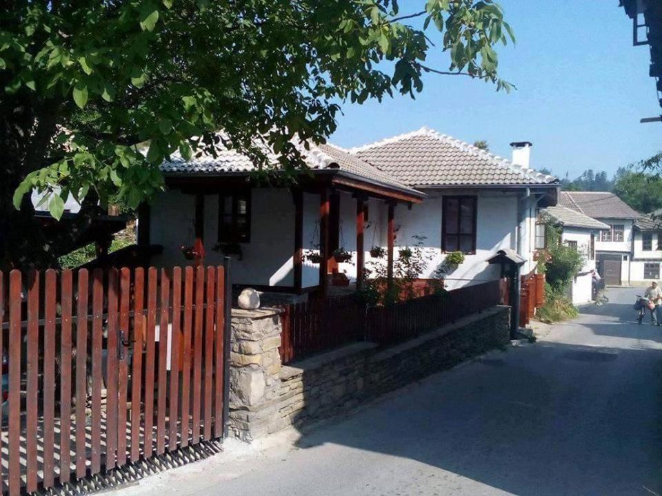 Photo of Others in Tryavna