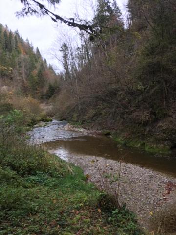 Photo of Others in Mosnang