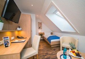Hotel & Restaurant Goldener Pflug