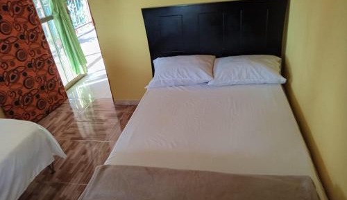 Single Bed in Mixed Dormitory Room