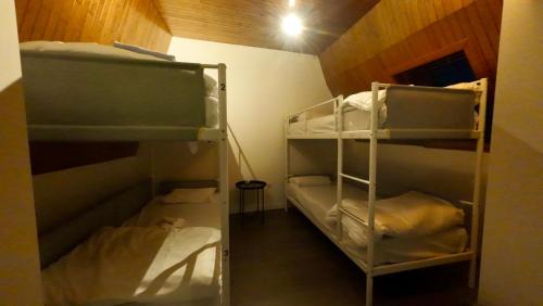 Bunk Bed in Male Dormitory Room 