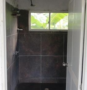 Single Bed in 6-Bed Dormitory Room