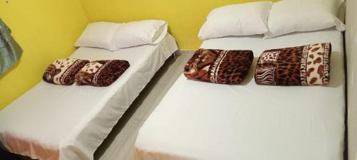 Quadruple Room with Shared Bathroom