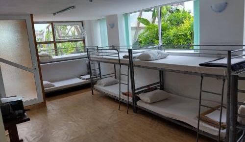 Bed in 8-Bed Mixed Dormitory Room