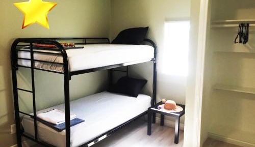 Bunk Bed in Mixed Dormitory Room