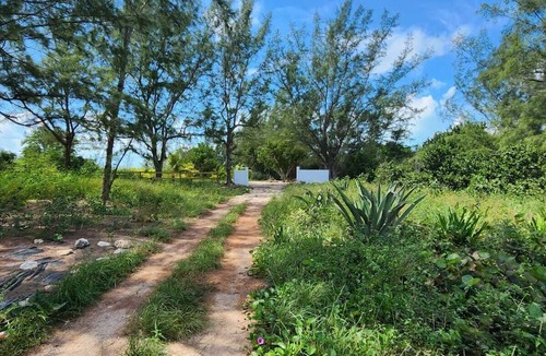 Winding Bay Cottage | Charming private cottage with WiFi and AC in beautiful Whale Point