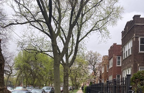 Logan Square Apartment | Nice quiet neighborhood with quick easy access to the best Chicago has to offer